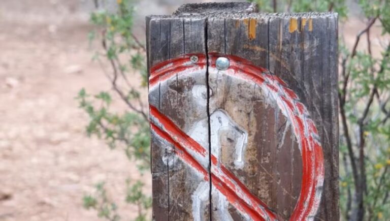 движение пешеходов запрещено